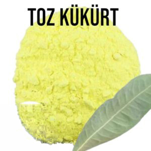 Toz Kükürt