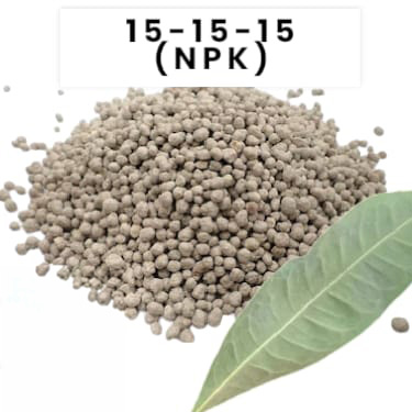 15-15-15 NPK (GÜNCEL FİYAT SORUNUZ)