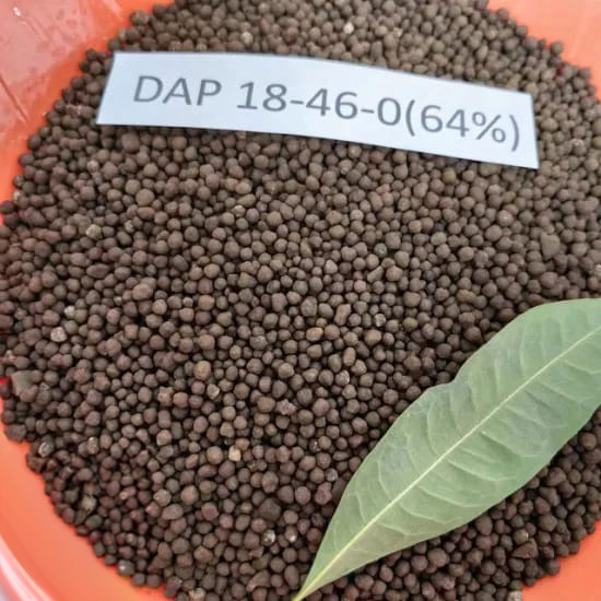 DAP 18-46-0 Amonyum Fosfat Gübre (GÜNCEL FİYAT SORUNUZ)